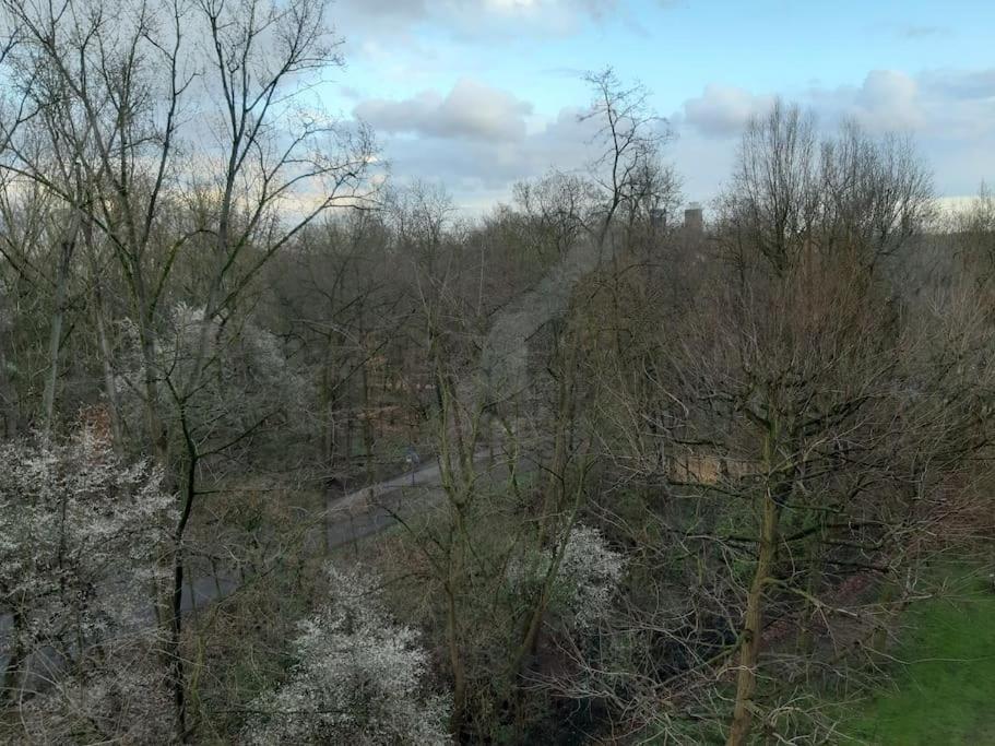Zentral Und Doch Natur Cologne Luaran gambar